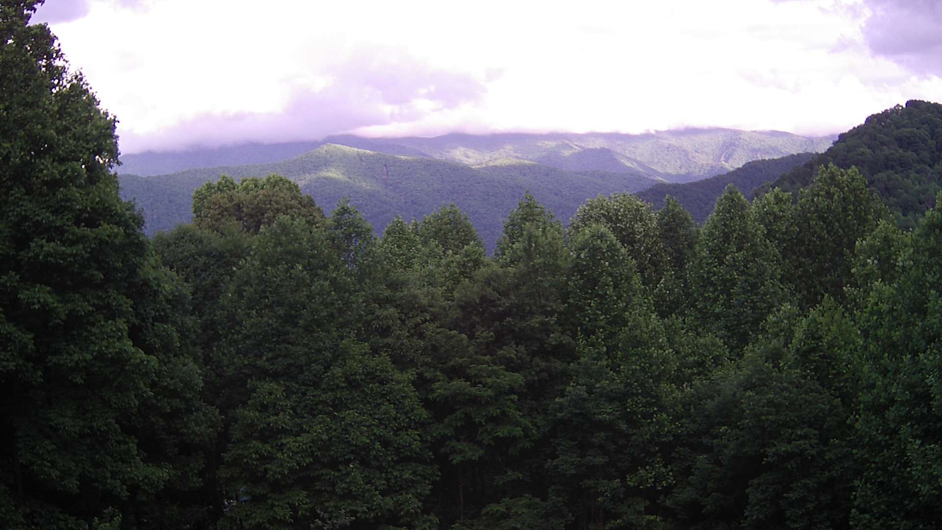 click for next image... slideshow image