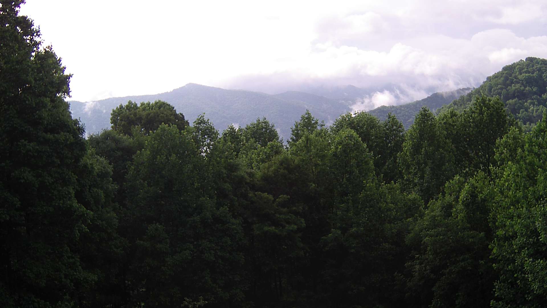 click for next image... slideshow image