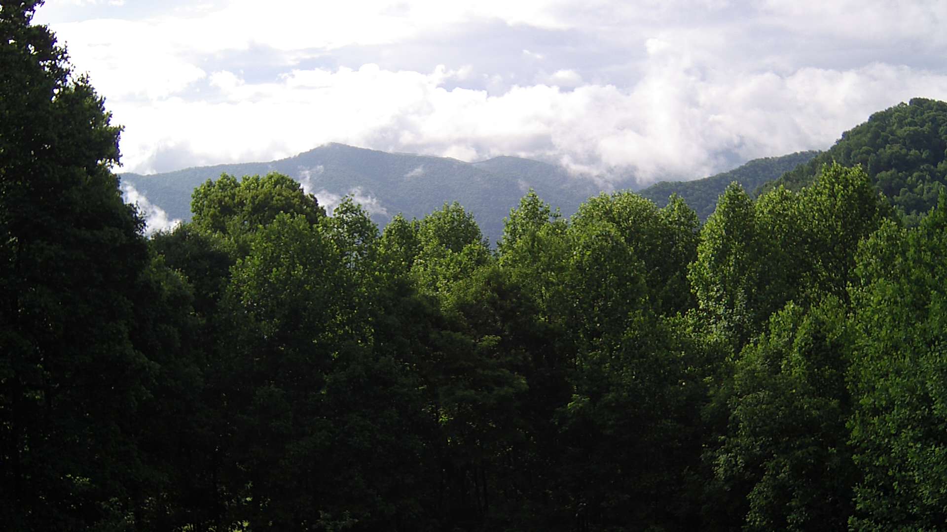 click for next image... slideshow image