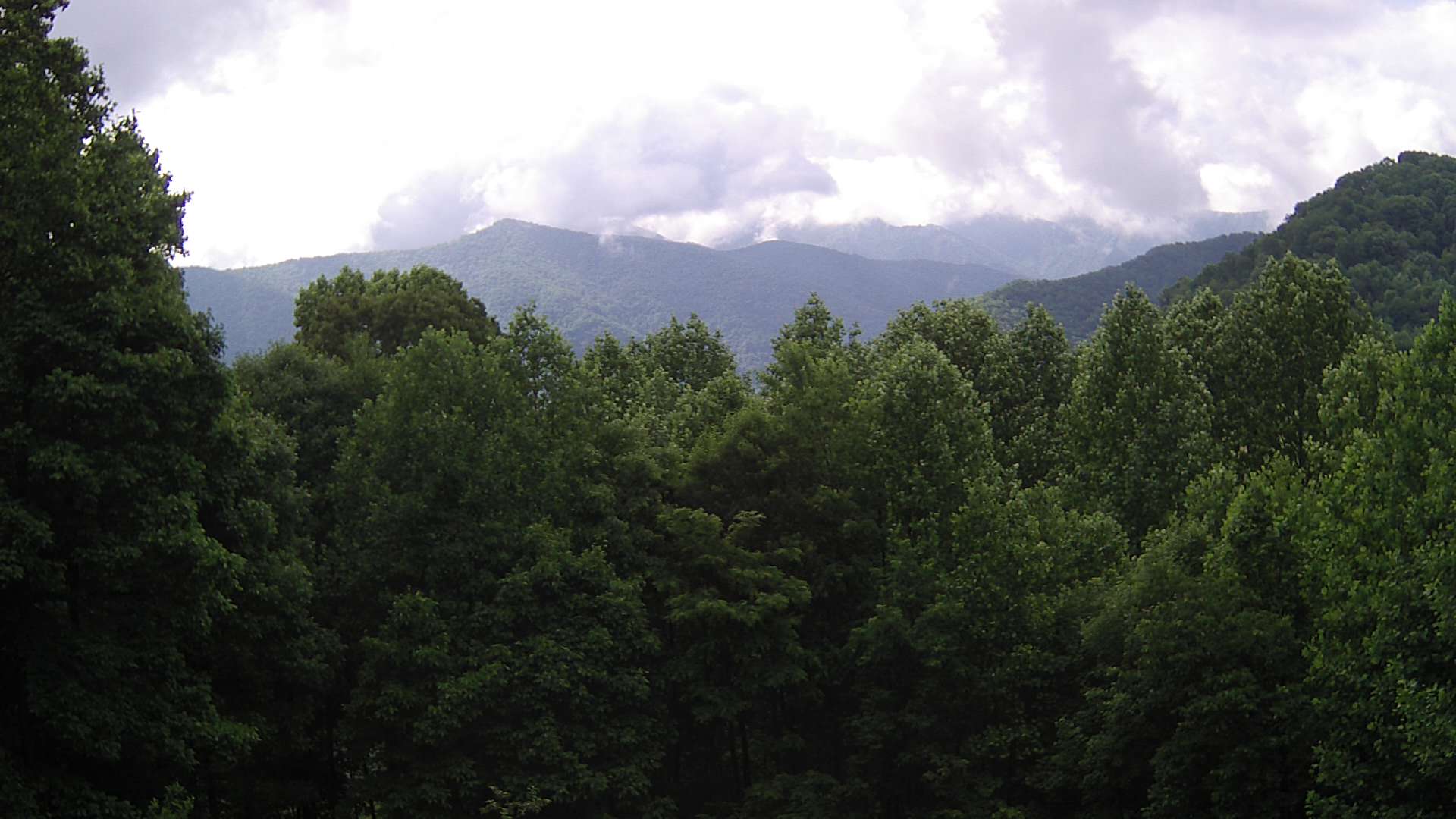 click for next image... slideshow image