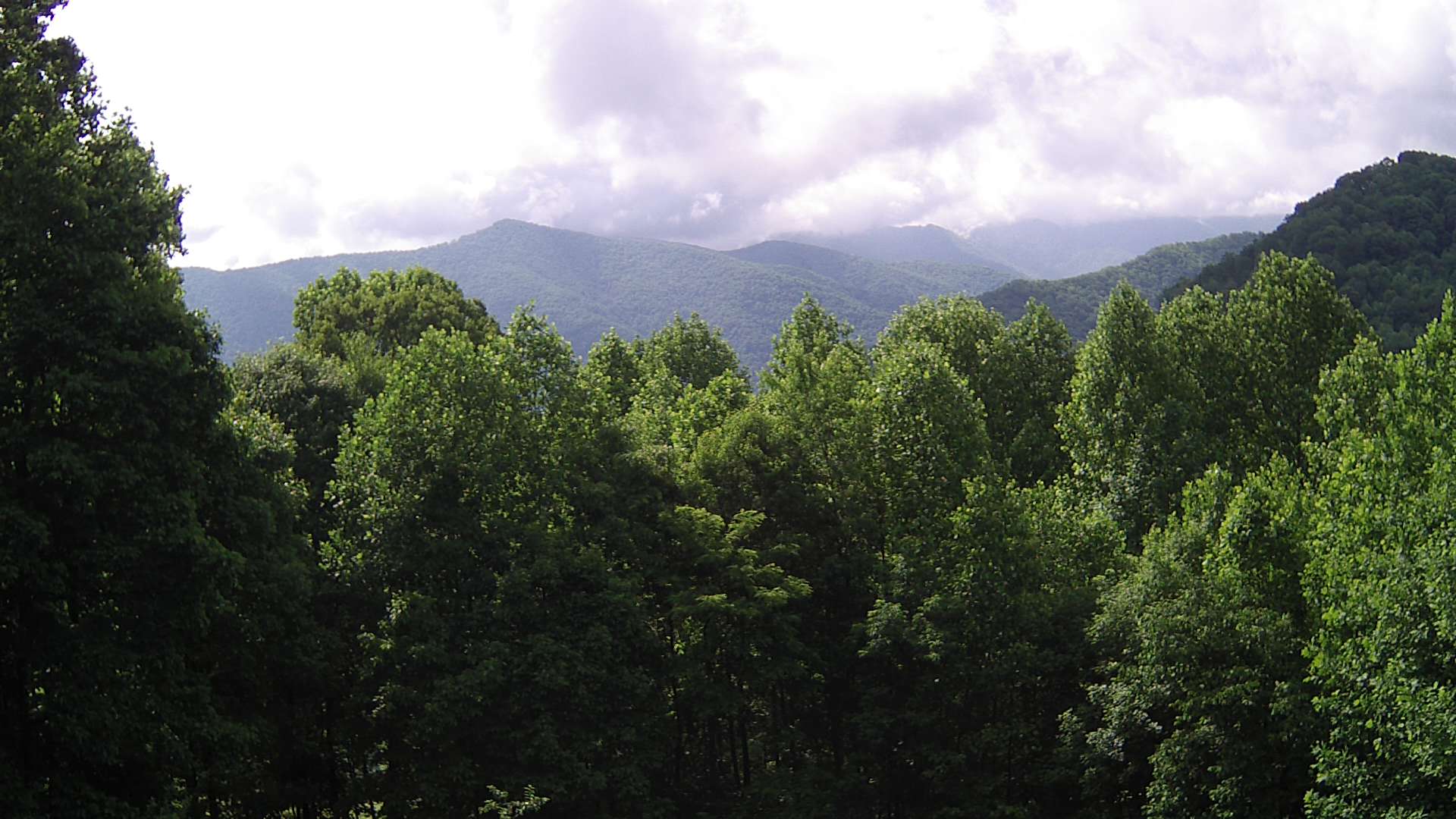 click for next image... slideshow image