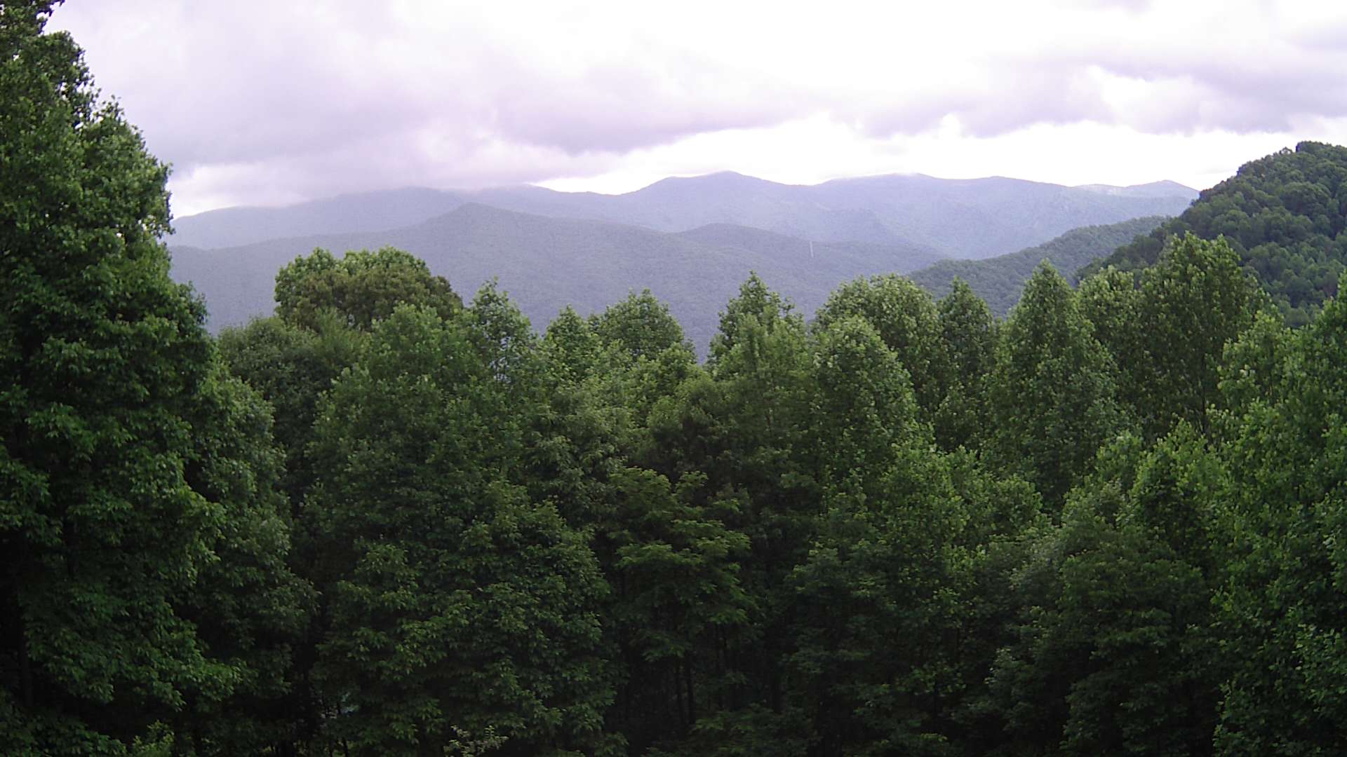 click for next image... slideshow image