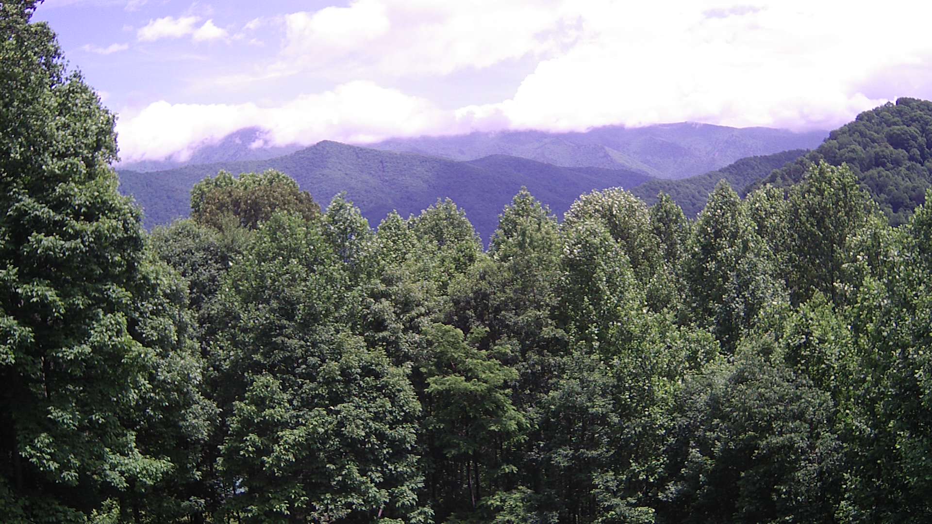click for next image... slideshow image