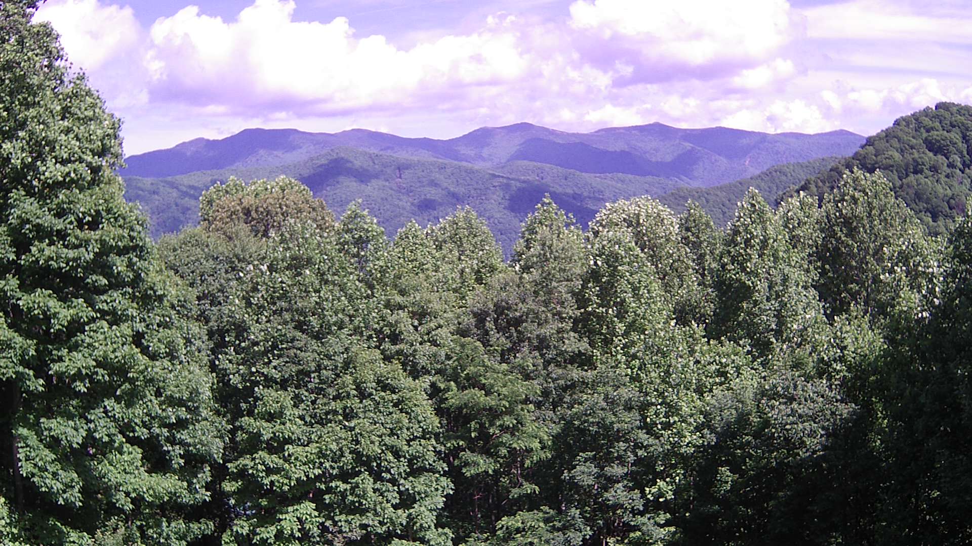 click for next image... slideshow image