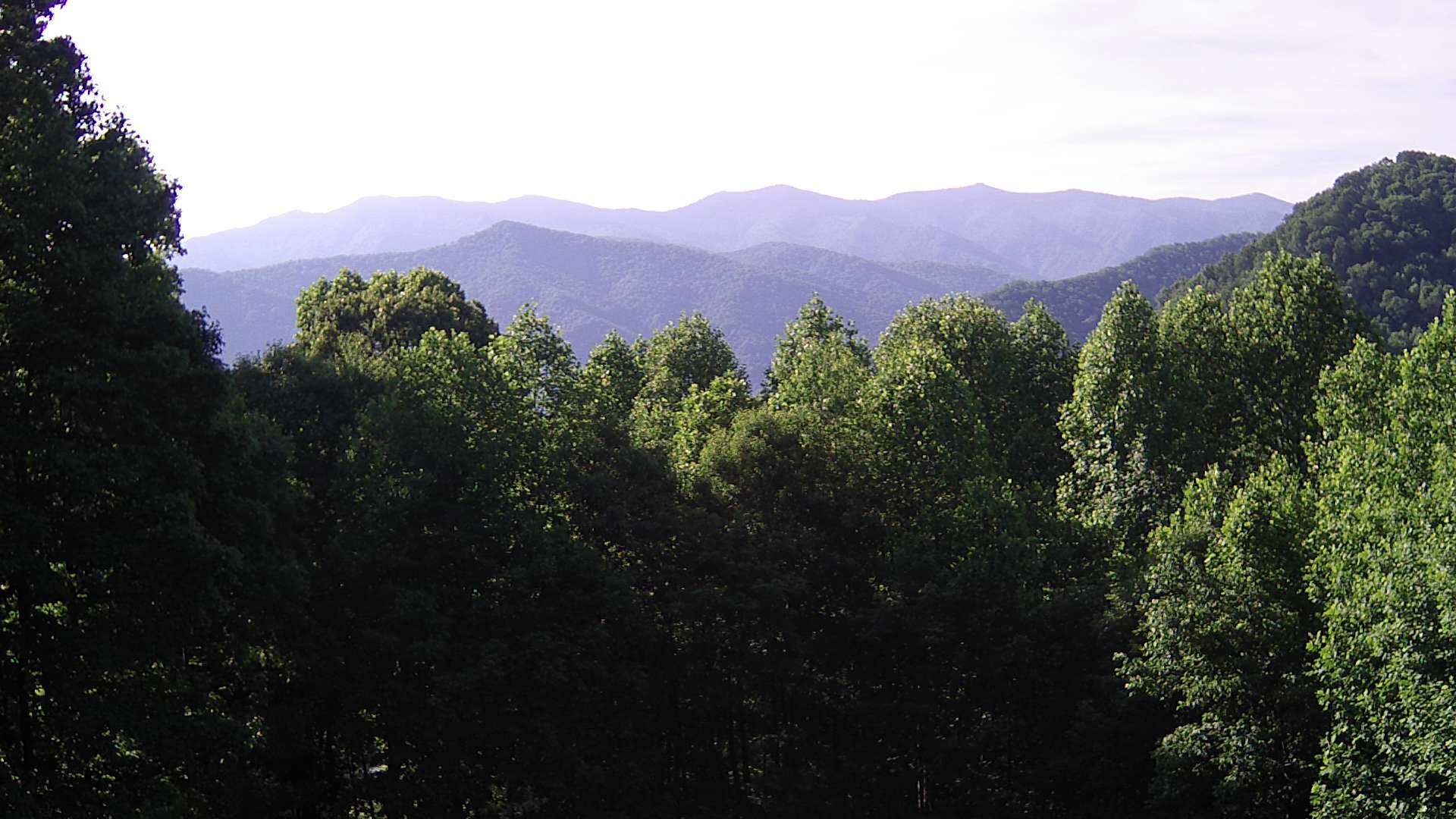 click for next image... slideshow image