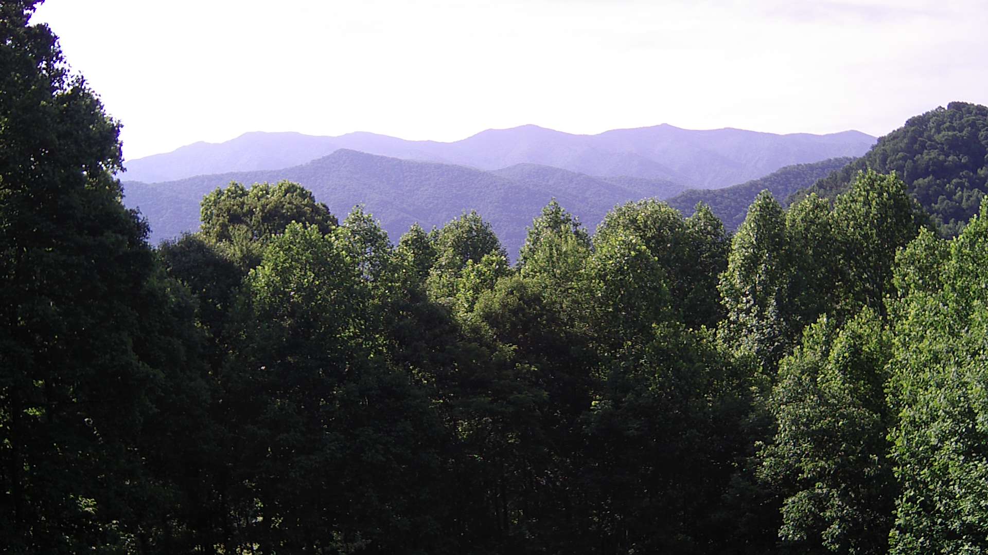 click for next image... slideshow image