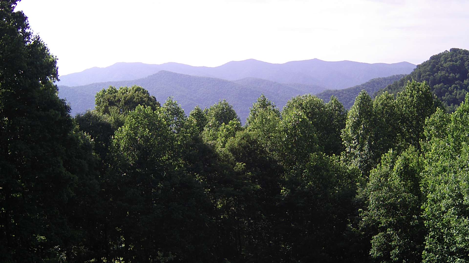 click for next image... slideshow image
