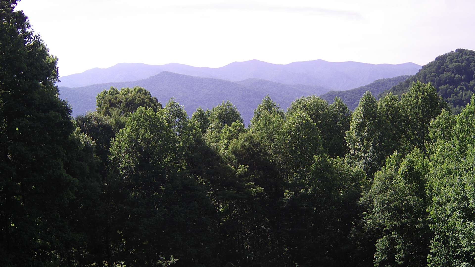 click for next image... slideshow image