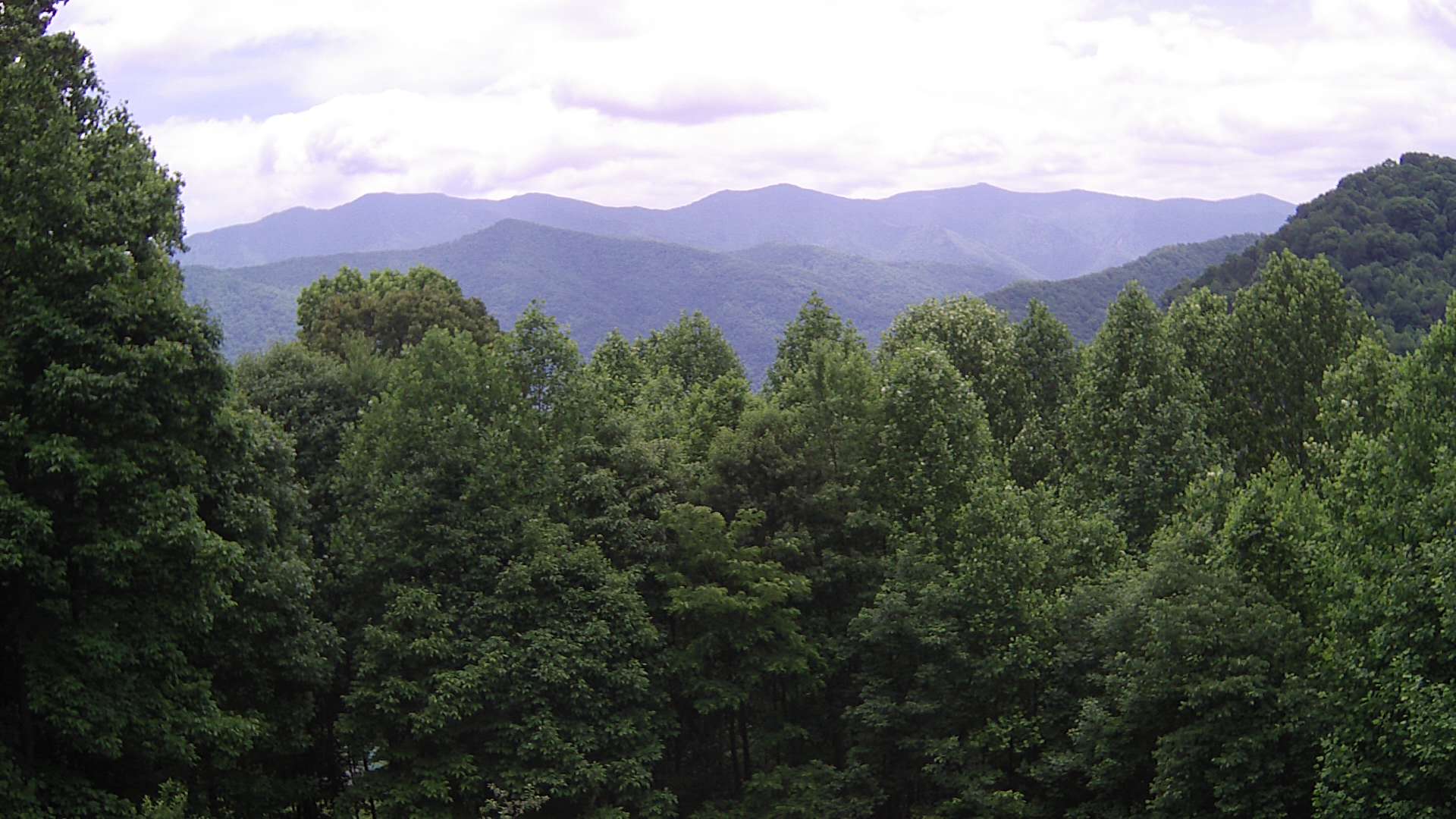 click for next image... slideshow image
