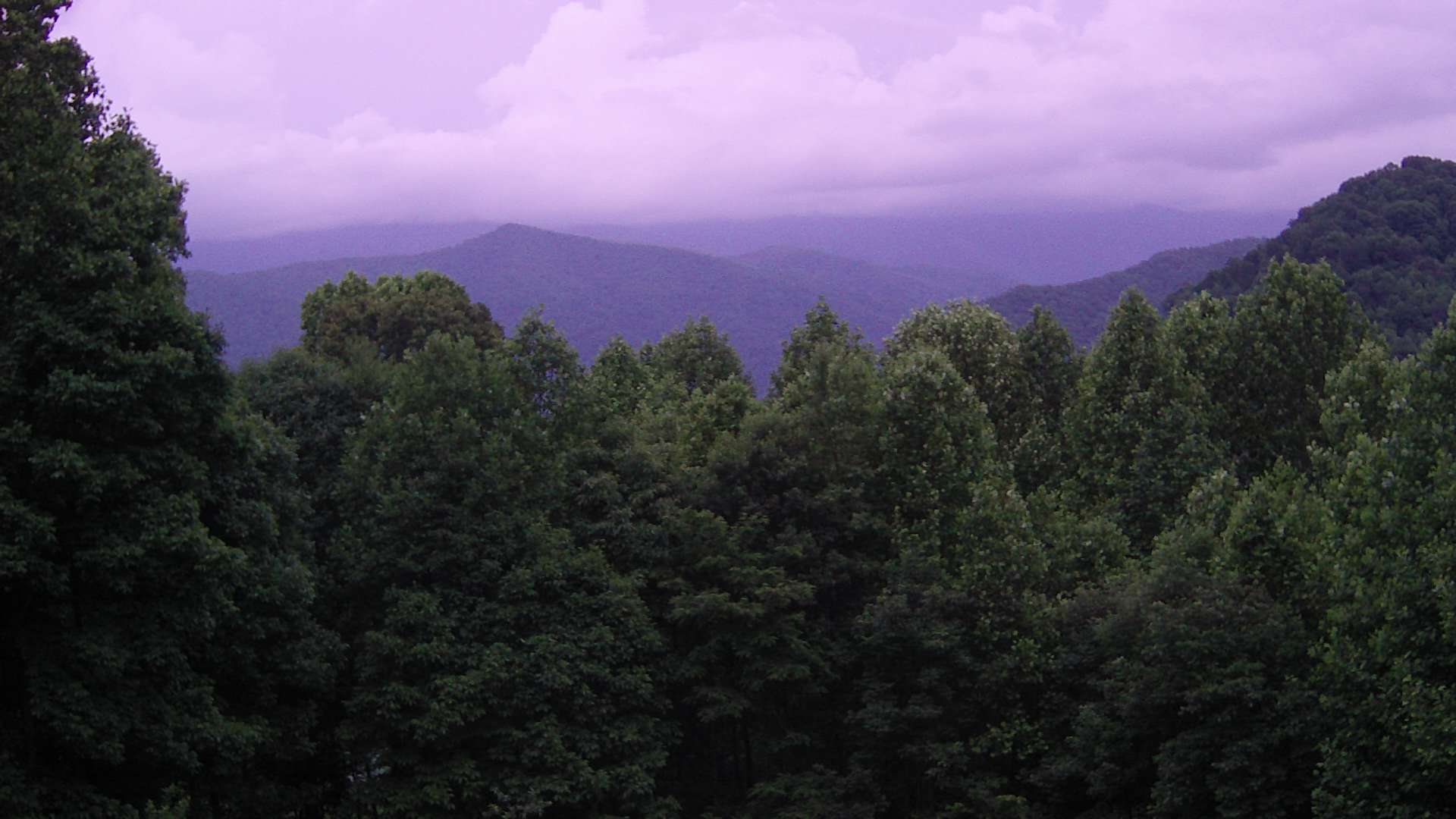 click for next image... slideshow image