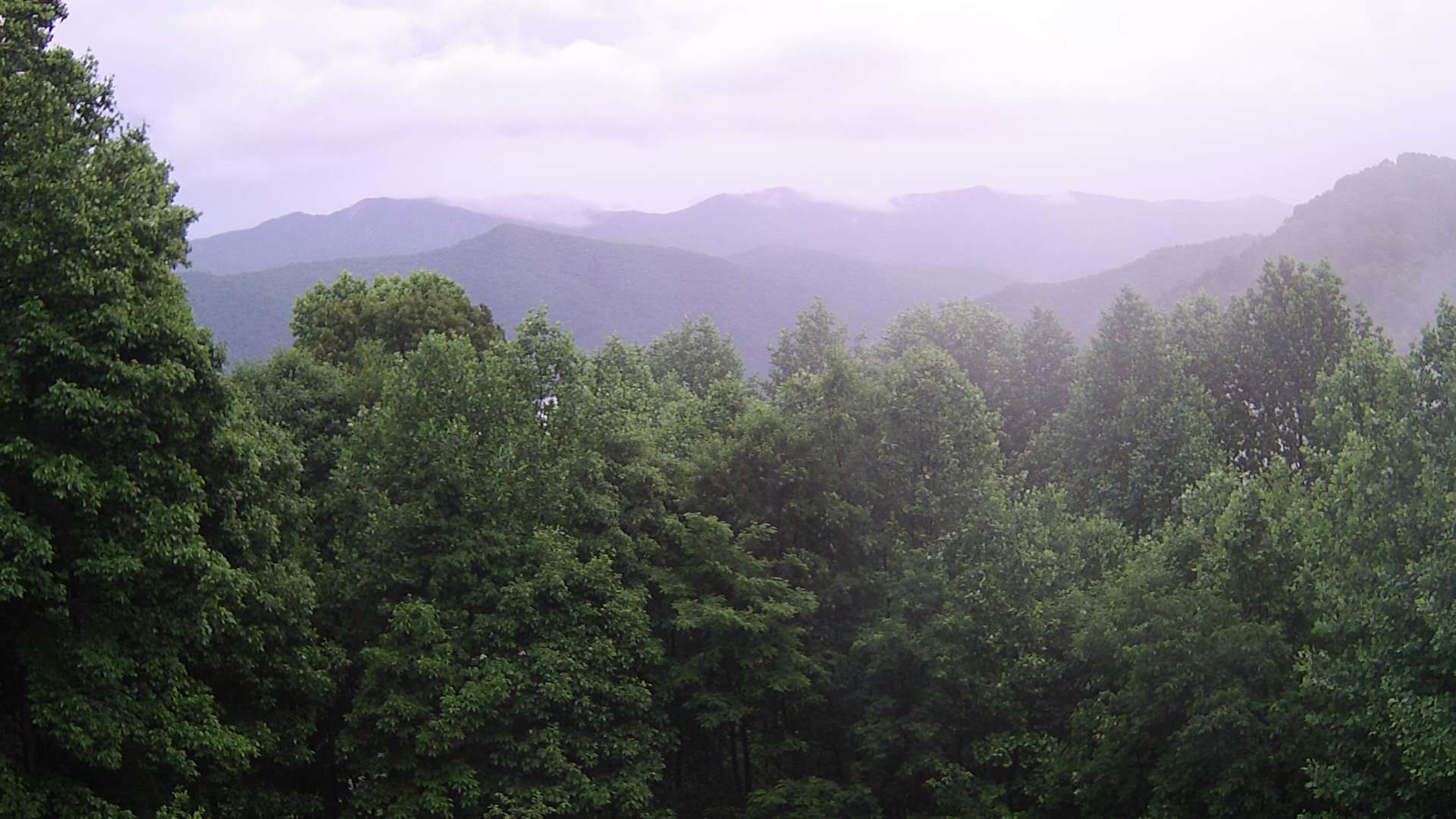 click for next image... slideshow image