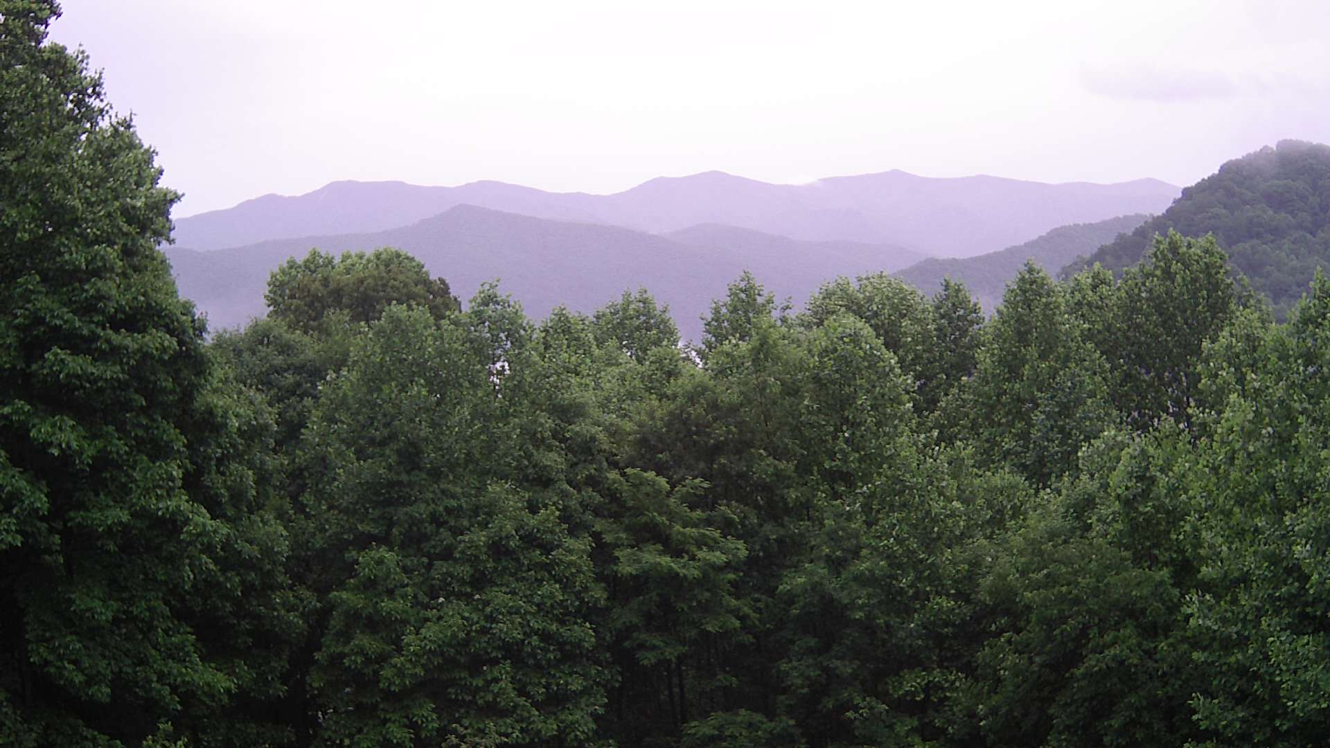 click for next image... slideshow image