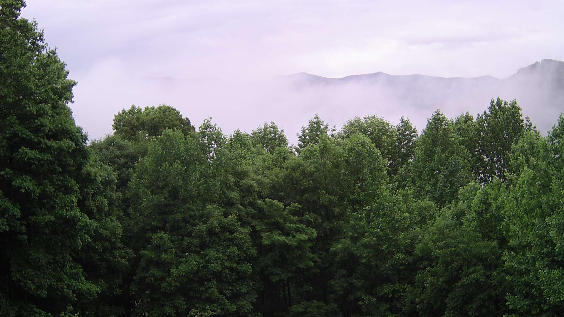click for next image... slideshow image