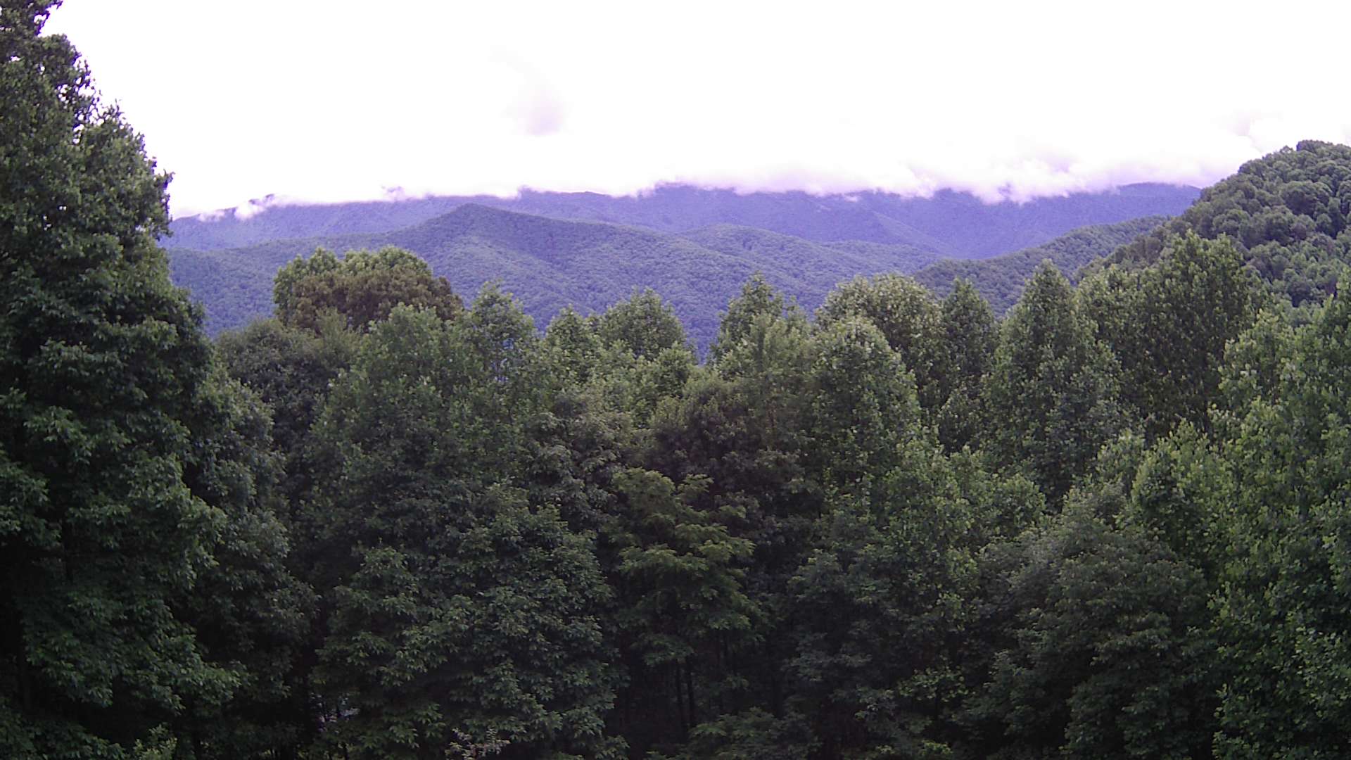 click for next image... slideshow image