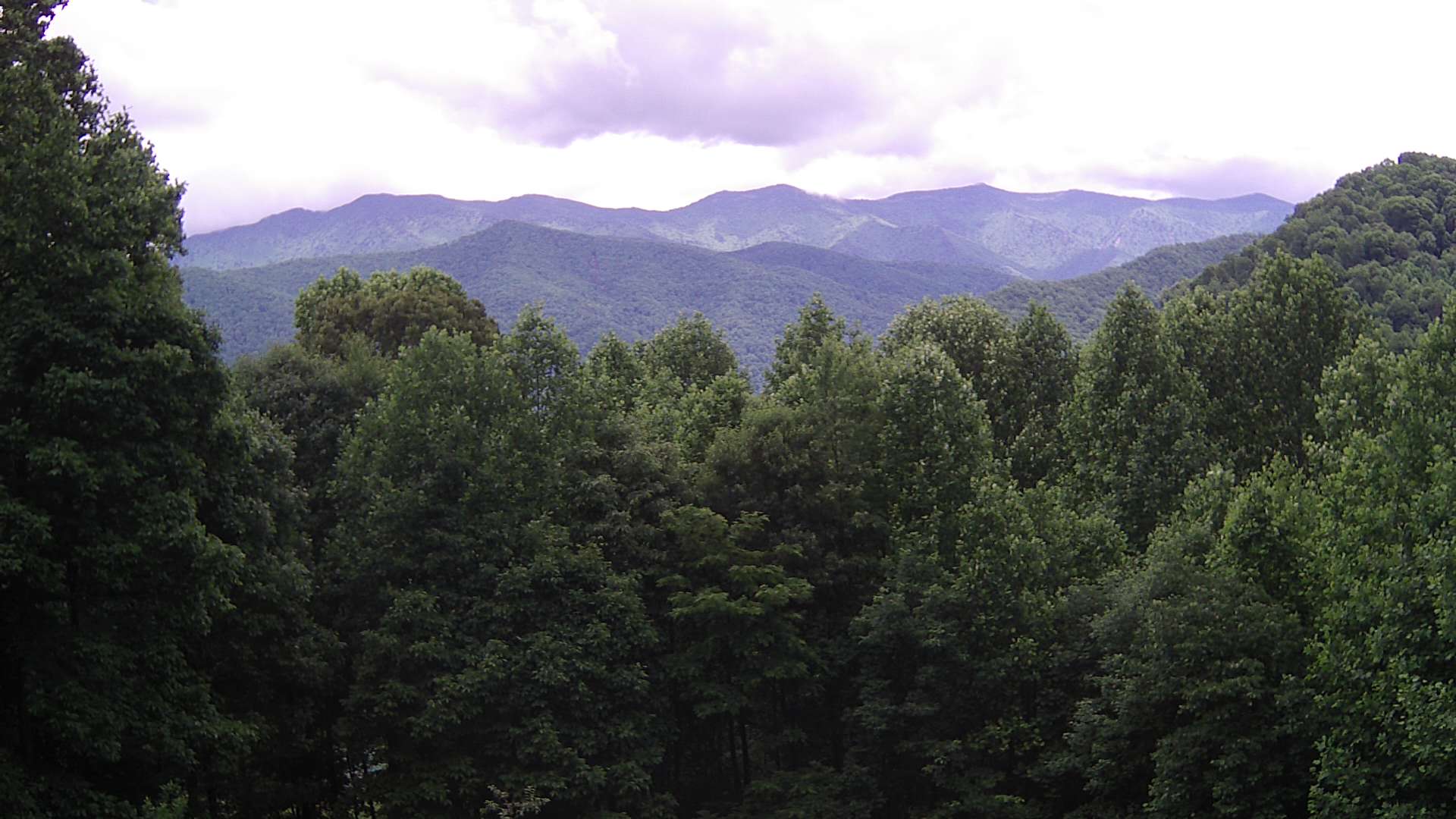 click for next image... slideshow image