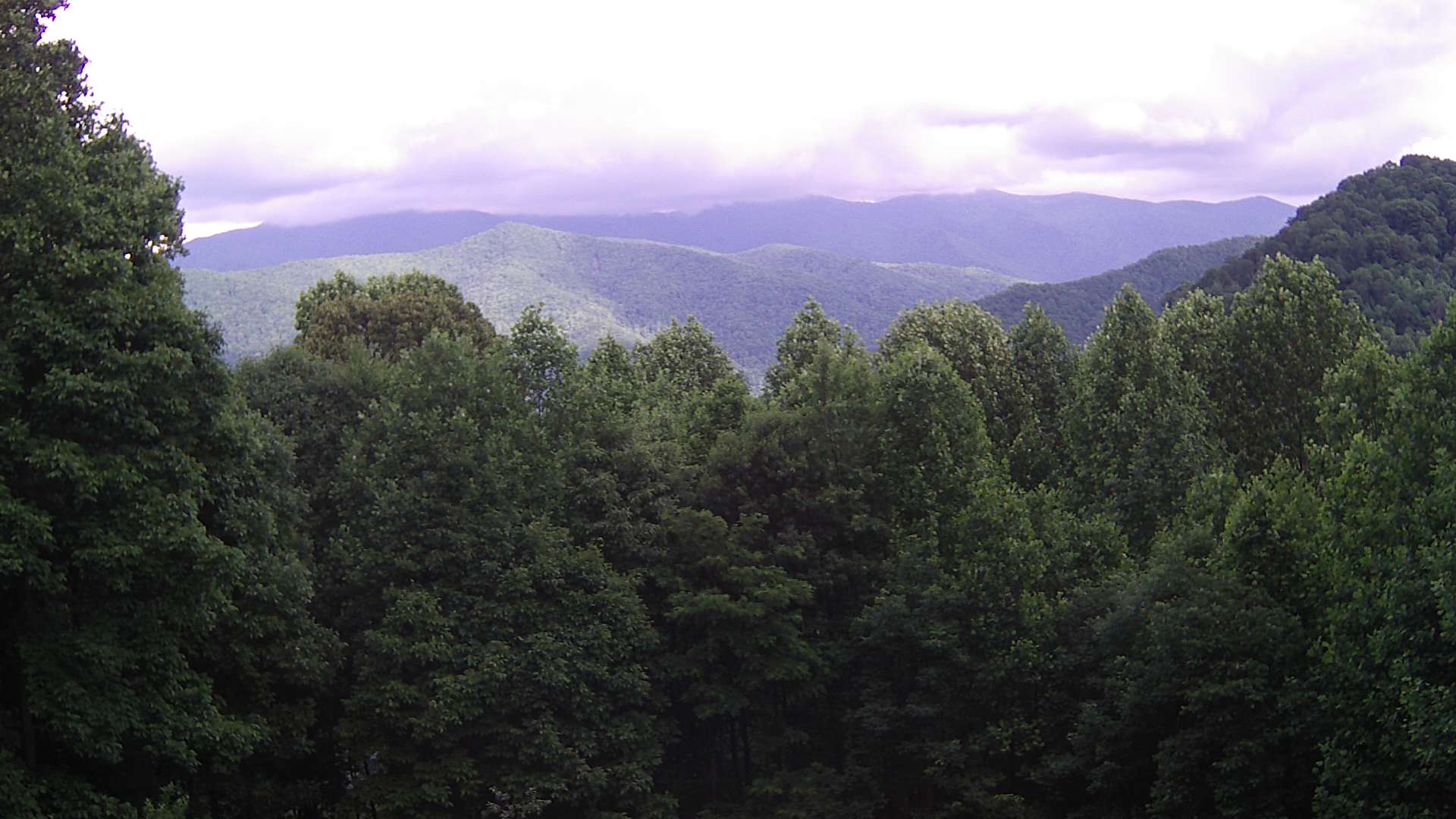 click for next image... slideshow image
