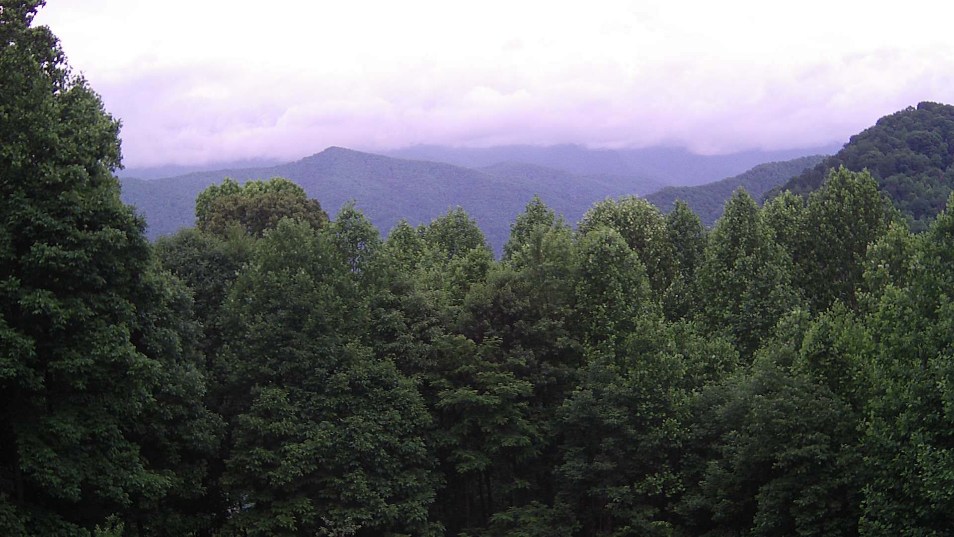 click for next image... slideshow image