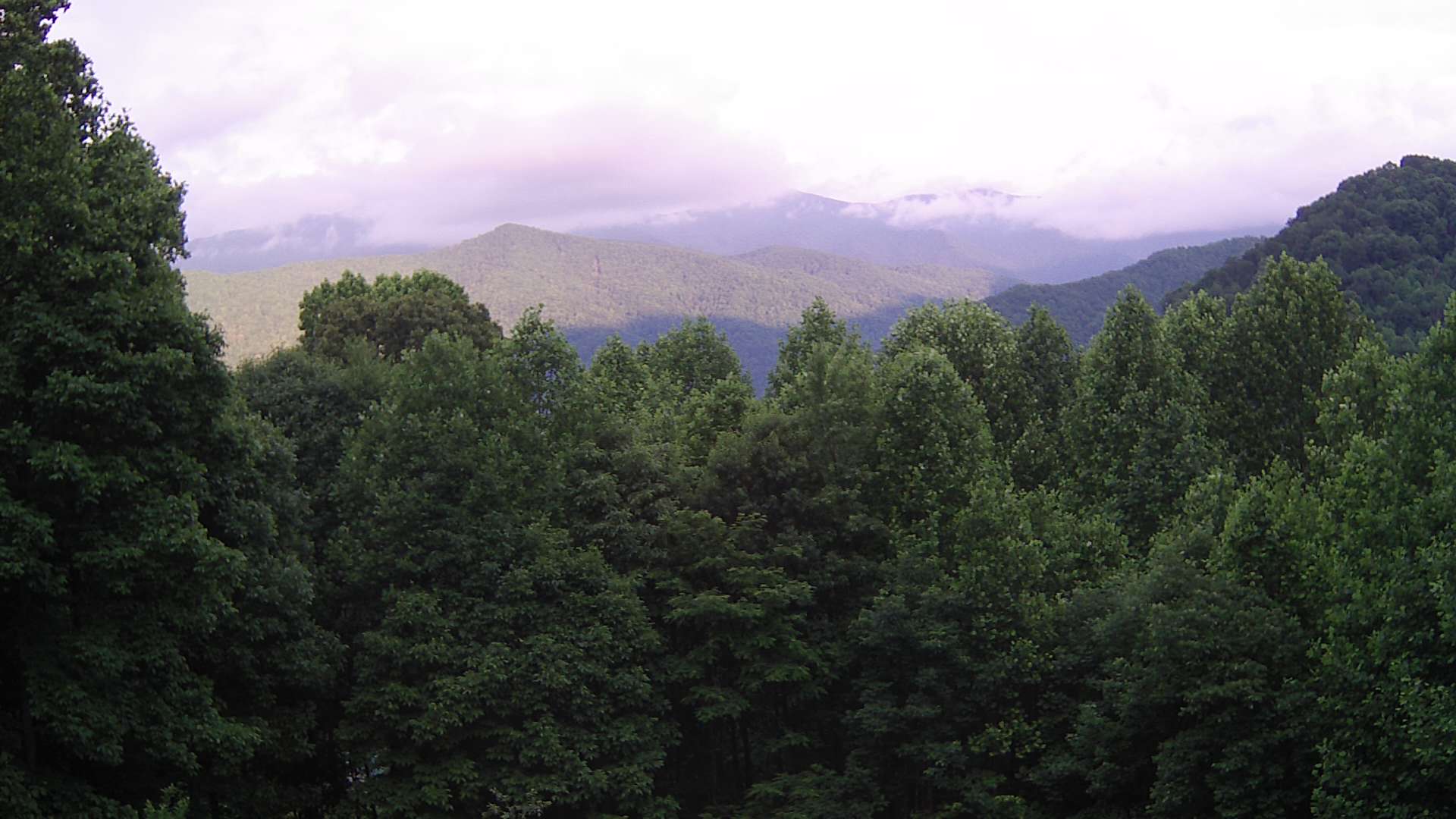 click for next image... slideshow image