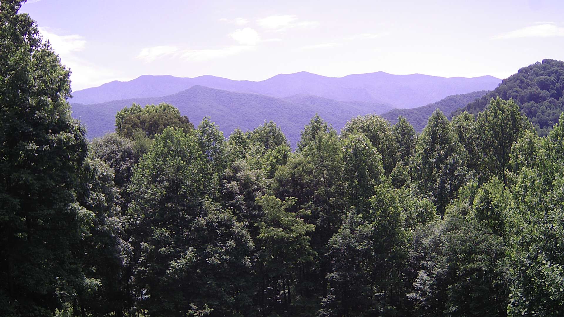 click for next image... slideshow image
