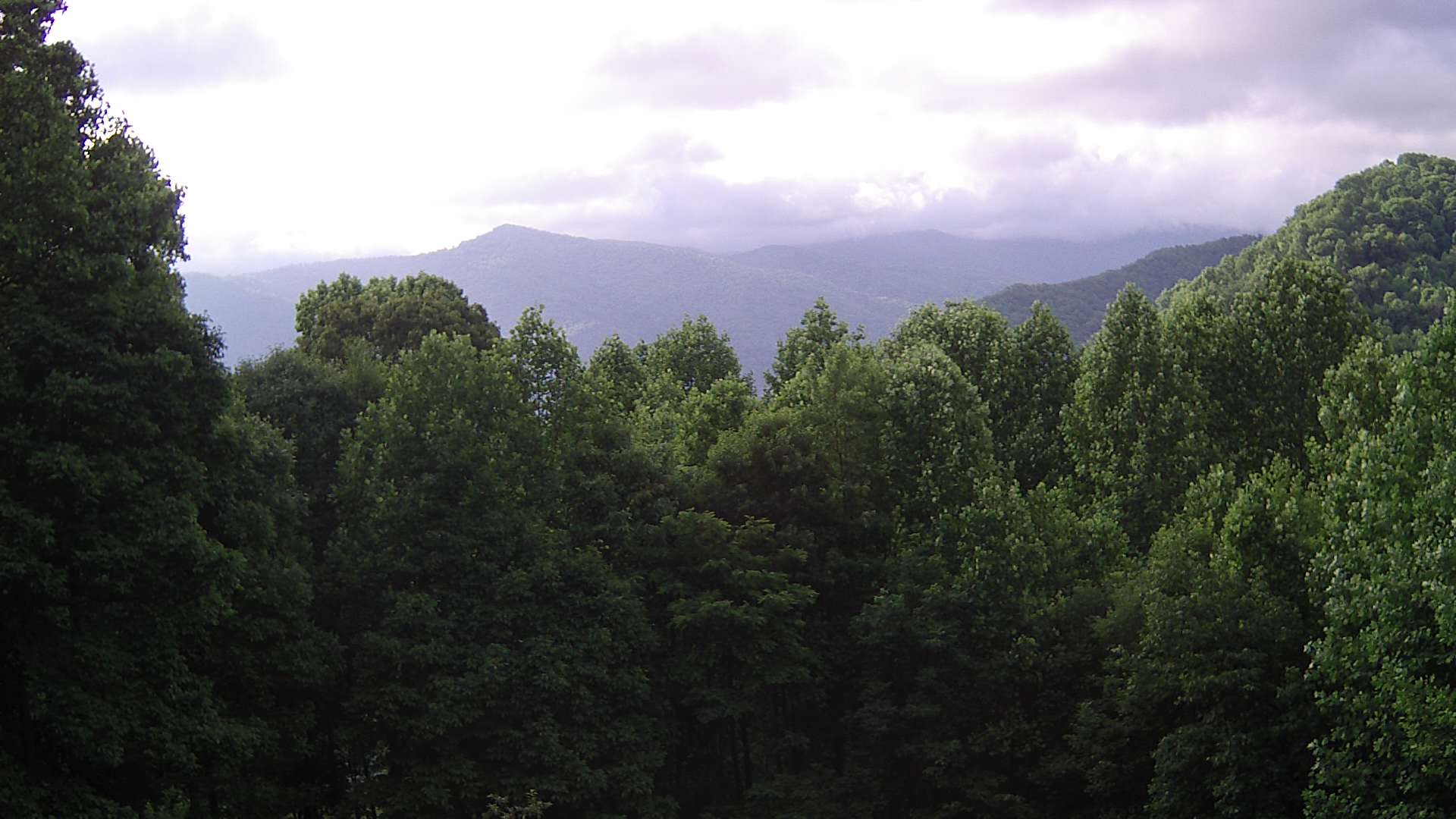 click for next image... slideshow image