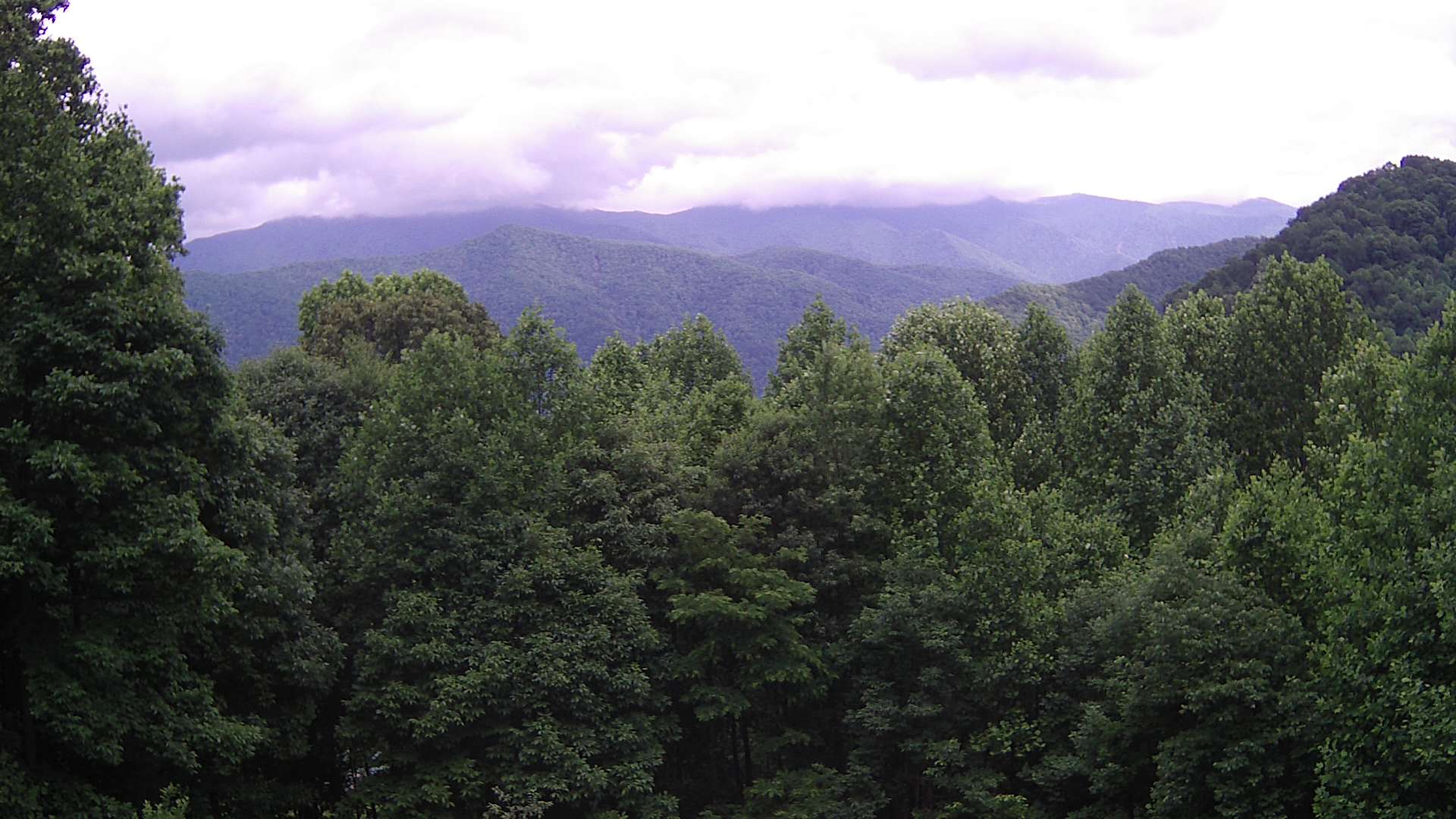 click for next image... slideshow image