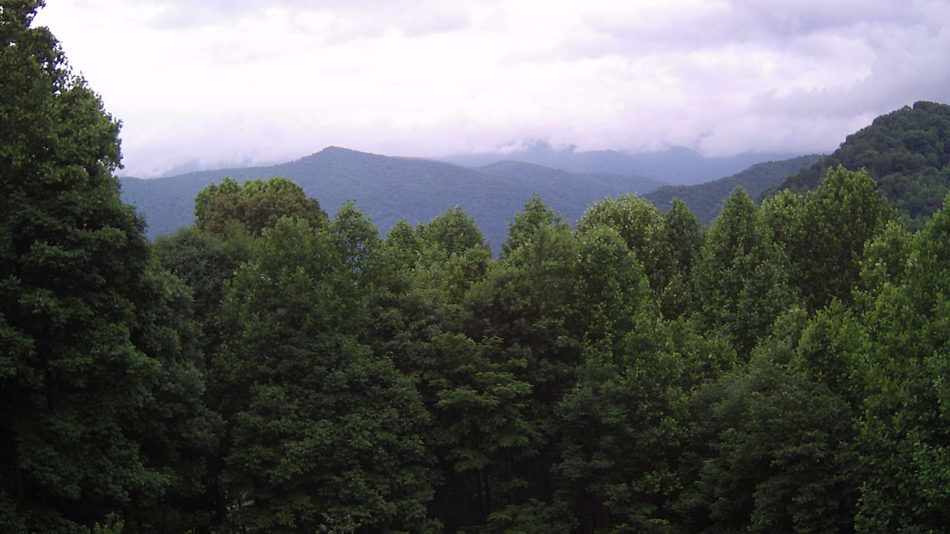 click for next image... slideshow image