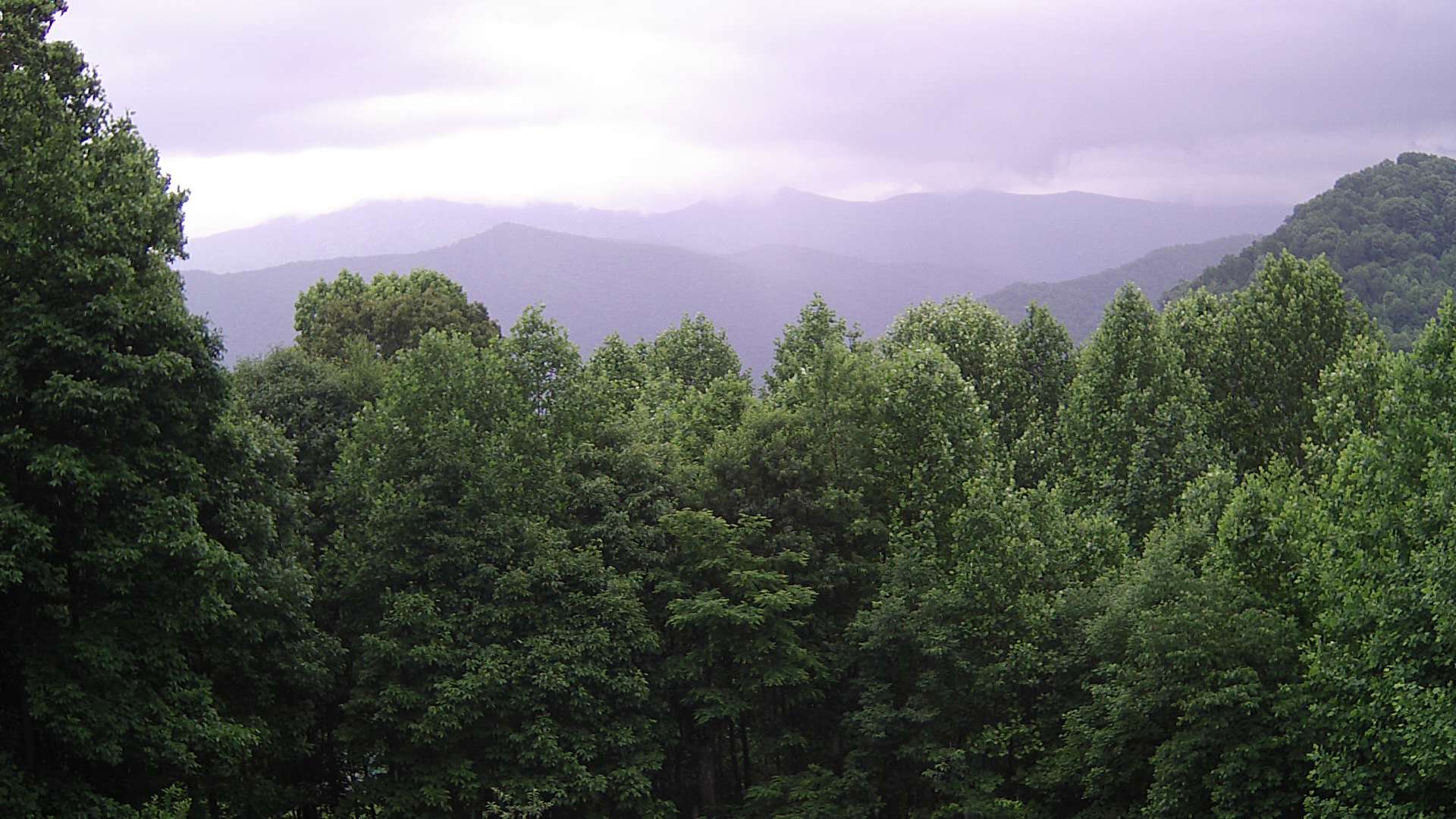 click for next image... slideshow image