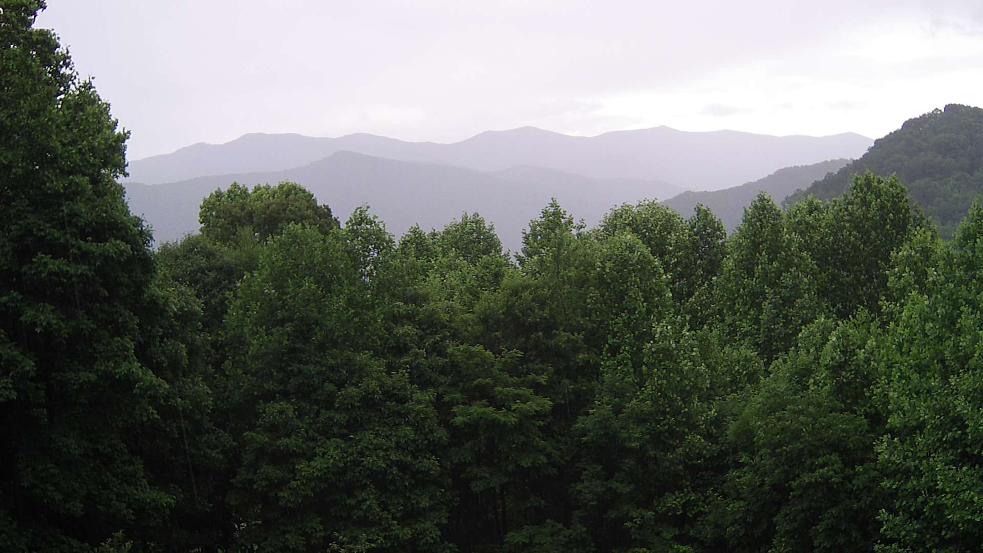 click for next image... slideshow image