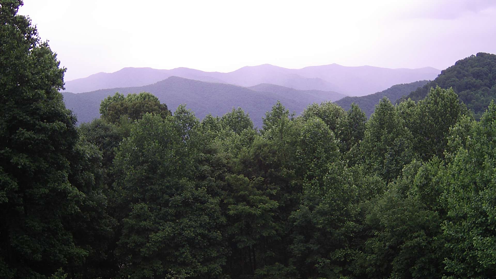 click for next image... slideshow image