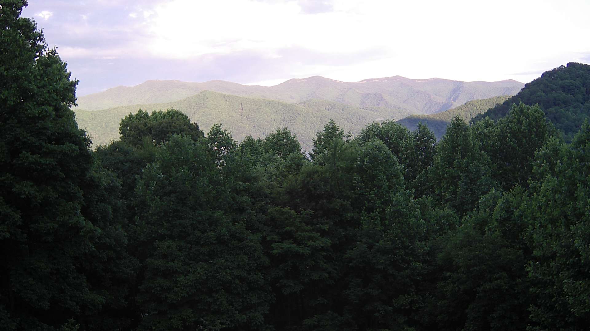 click for next image... slideshow image