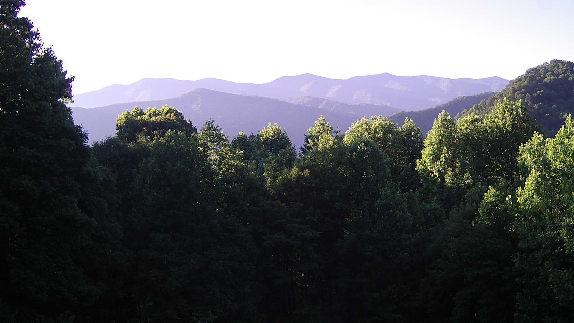 click for next image... slideshow image