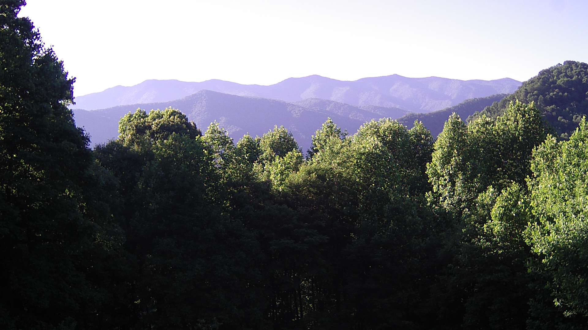 click for next image... slideshow image