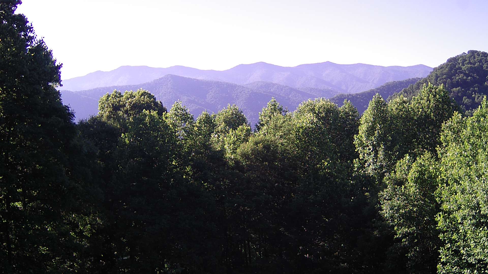 click for next image... slideshow image