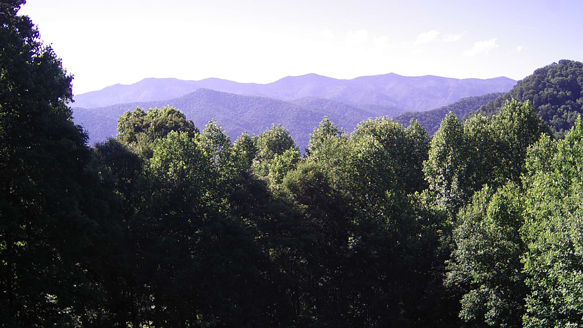 click for next image... slideshow image