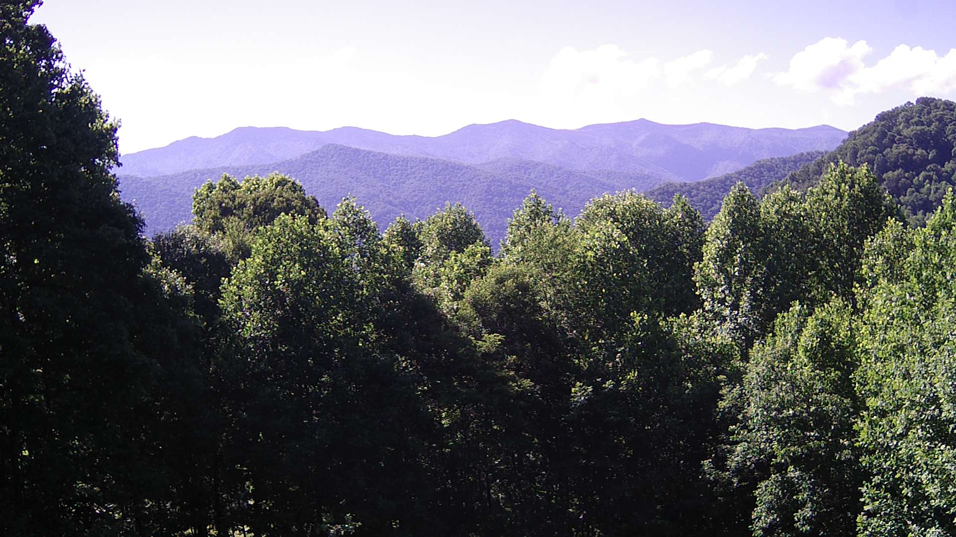 click for next image... slideshow image
