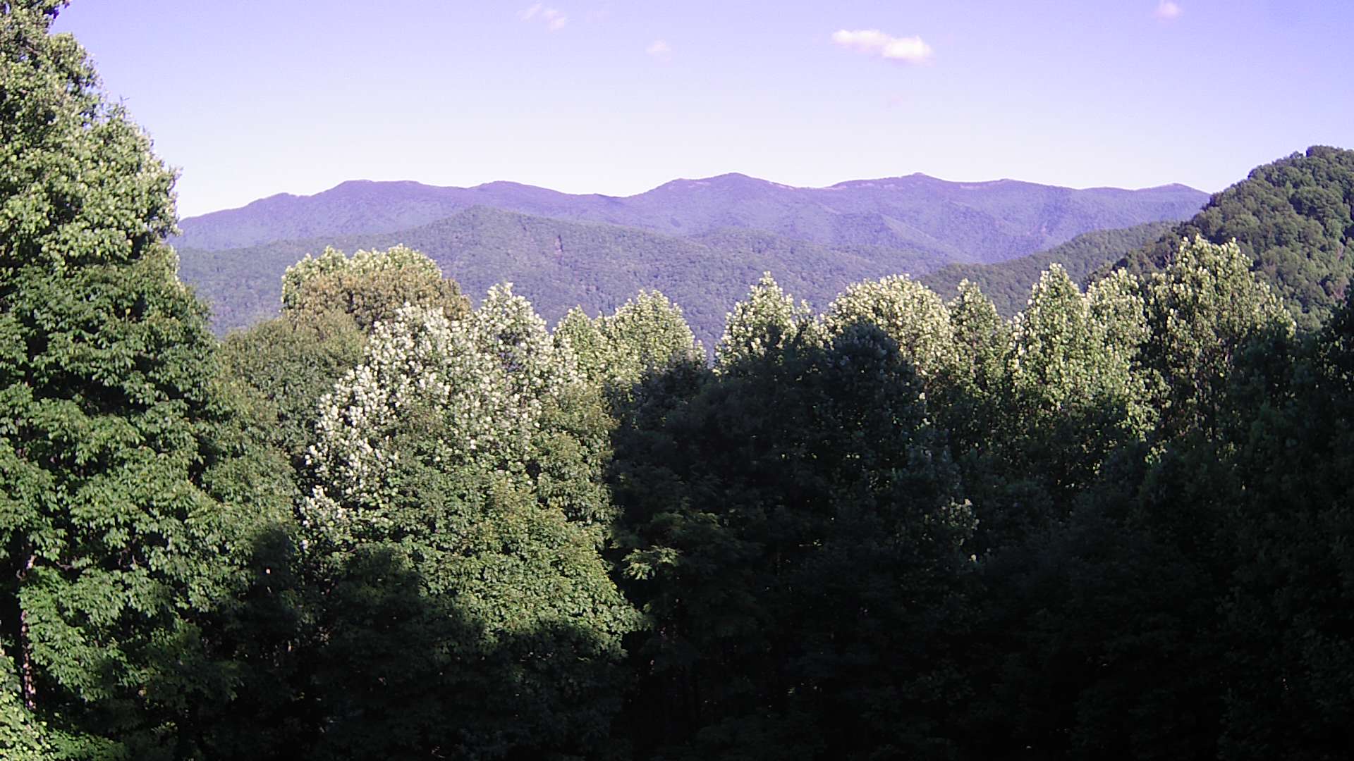 click for next image... slideshow image