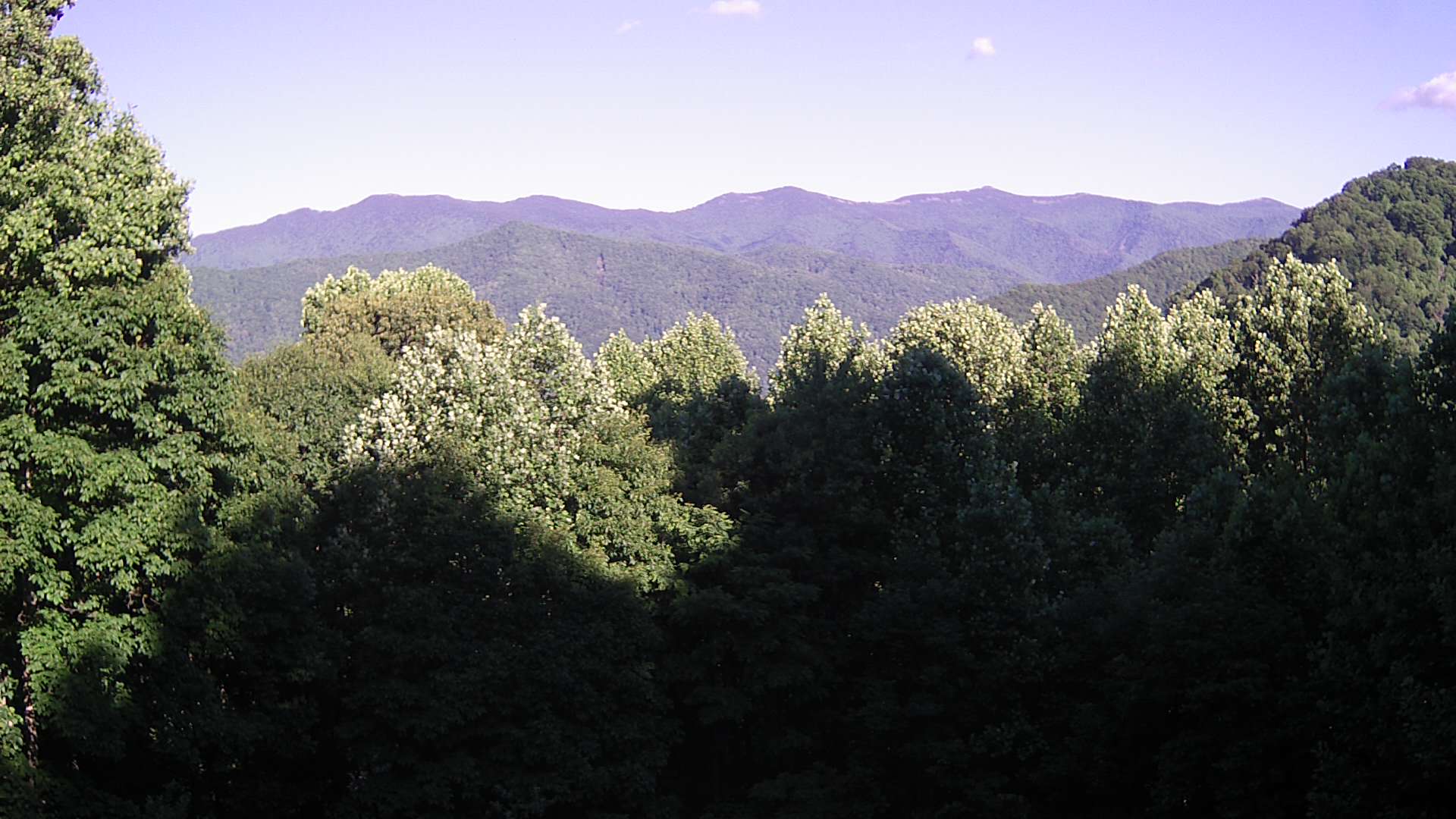 click for next image... slideshow image