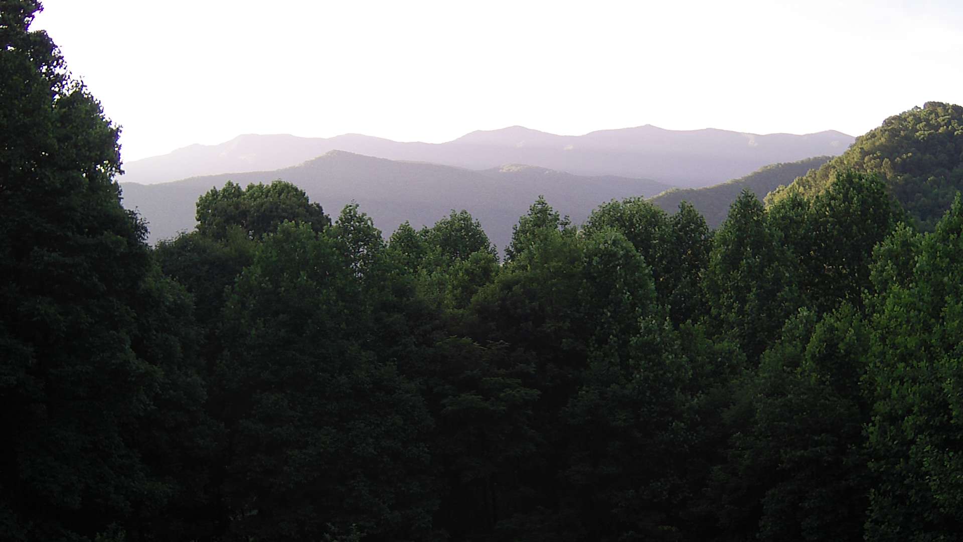 click for next image... slideshow image