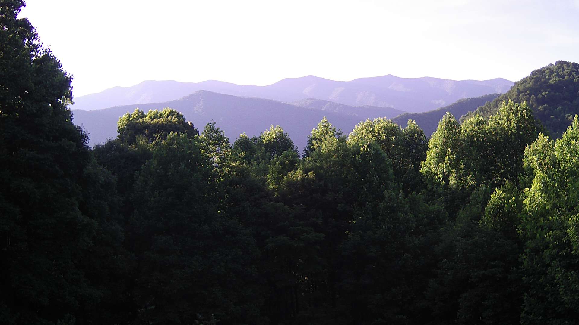 click for next image... slideshow image