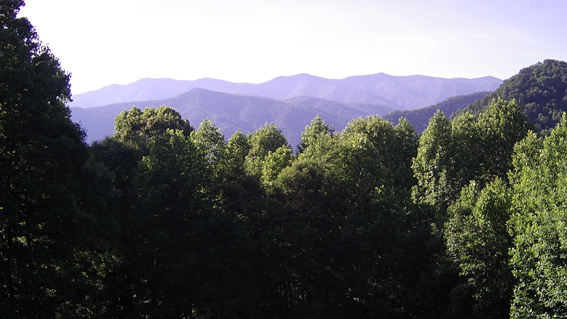 click for next image... slideshow image