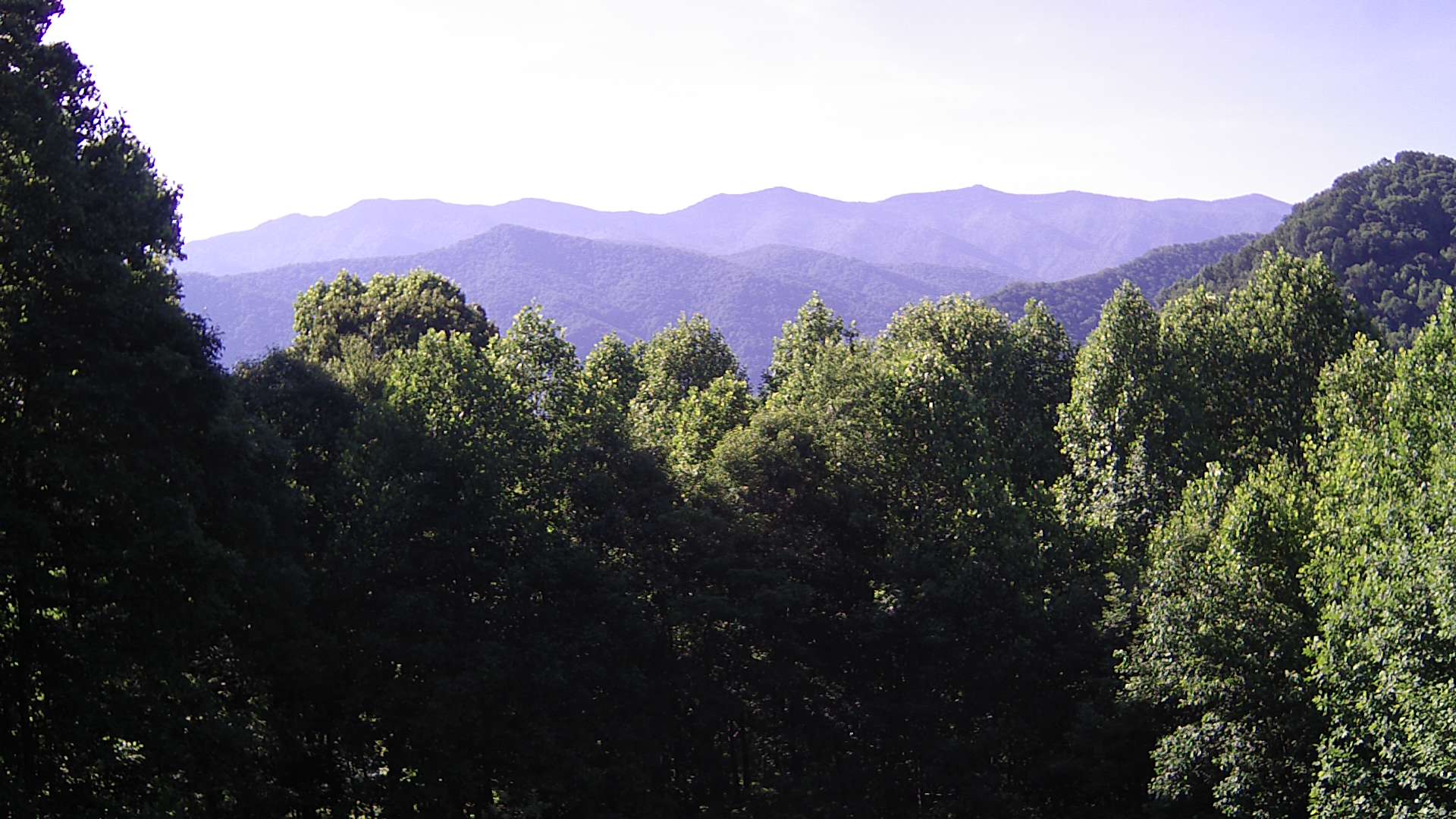 click for next image... slideshow image