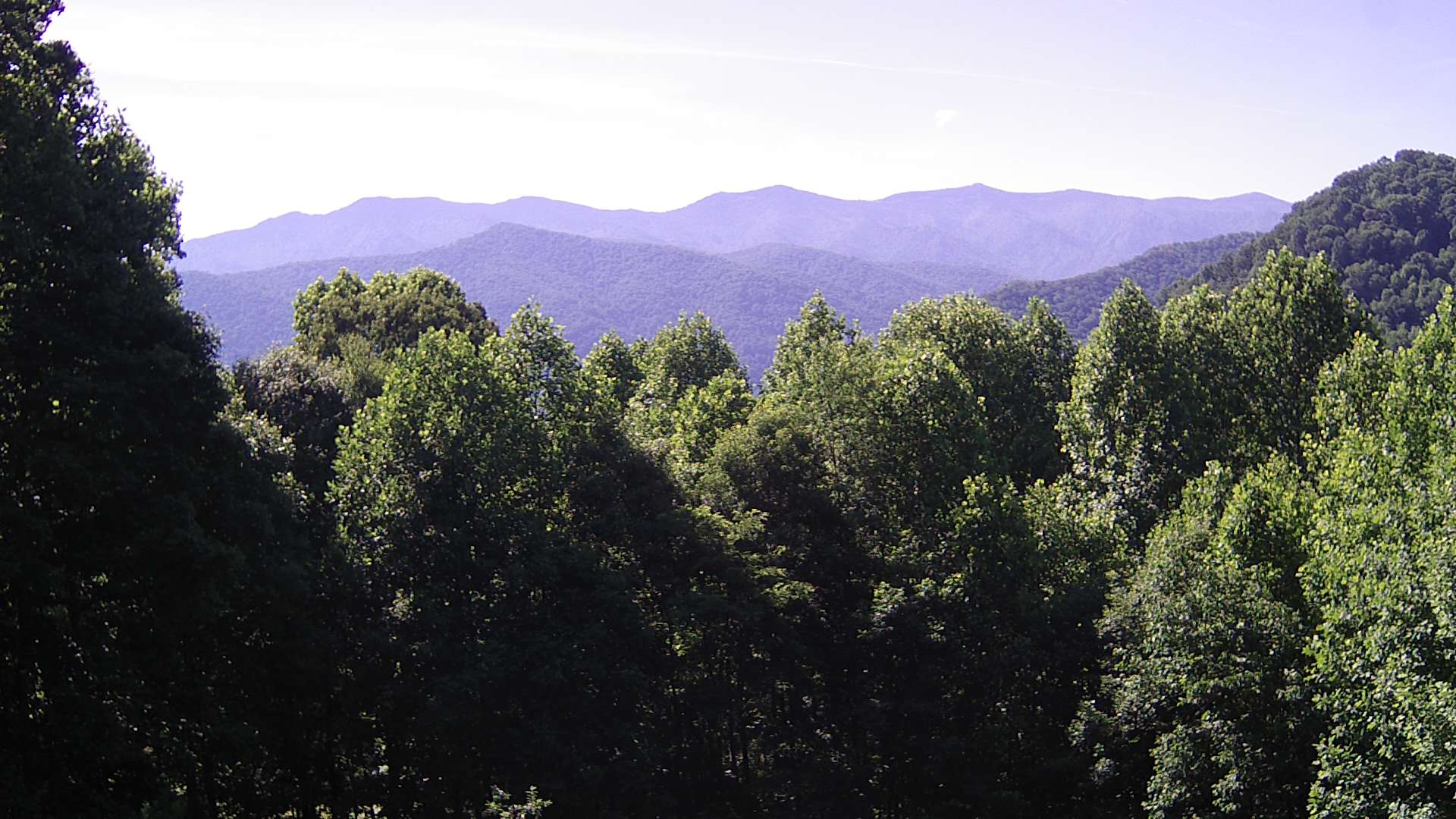 click for next image... slideshow image