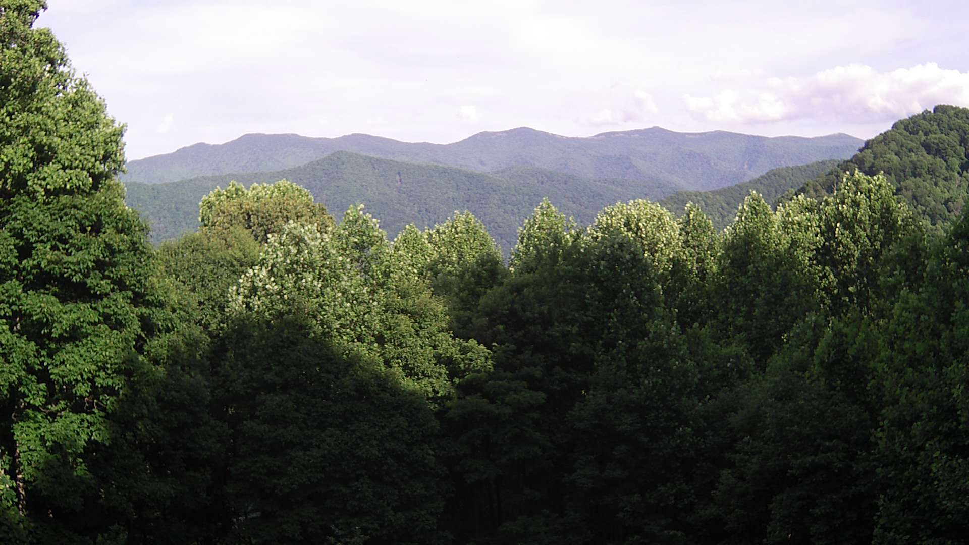 click for next image... slideshow image
