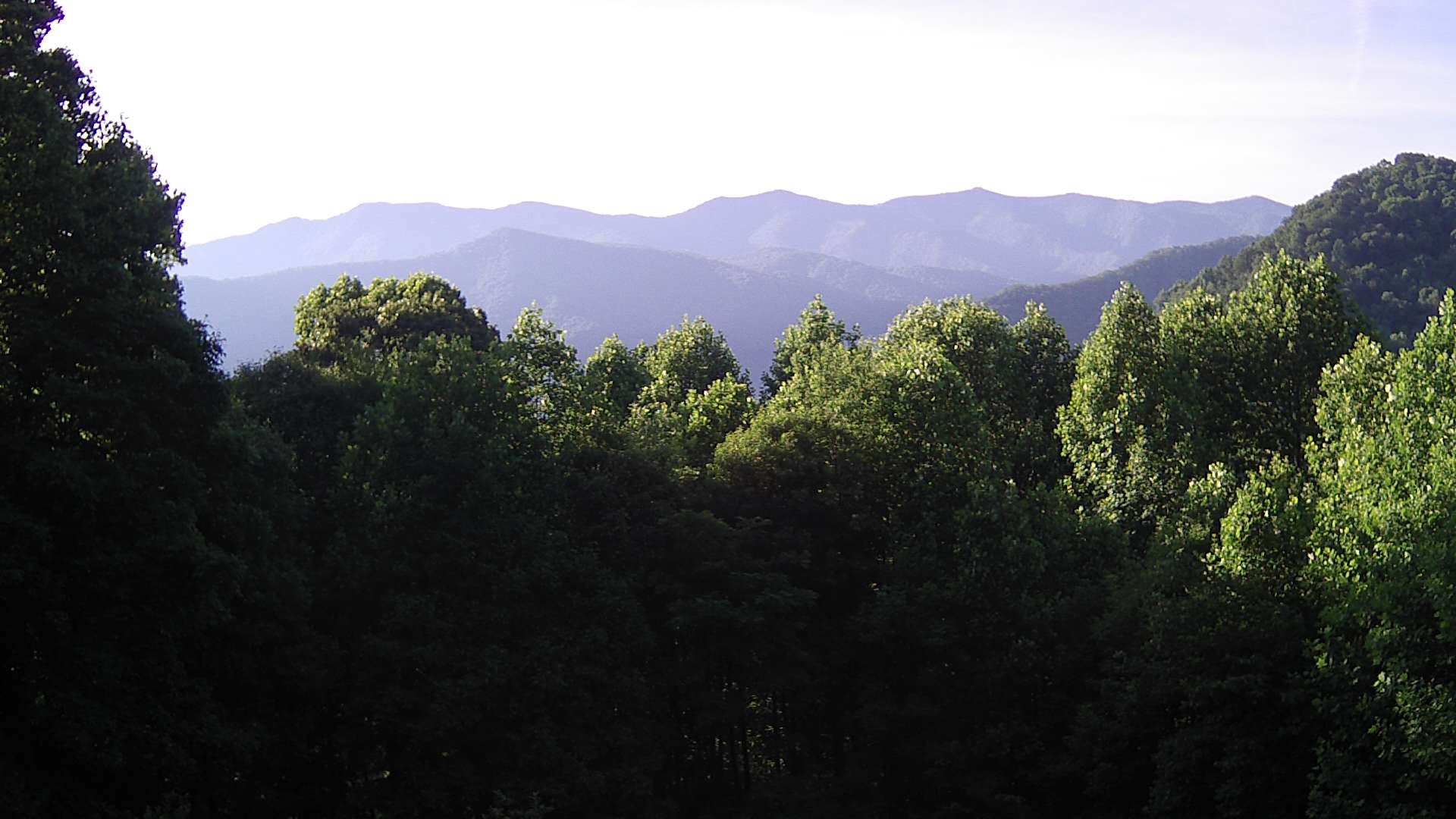 click for next image... slideshow image
