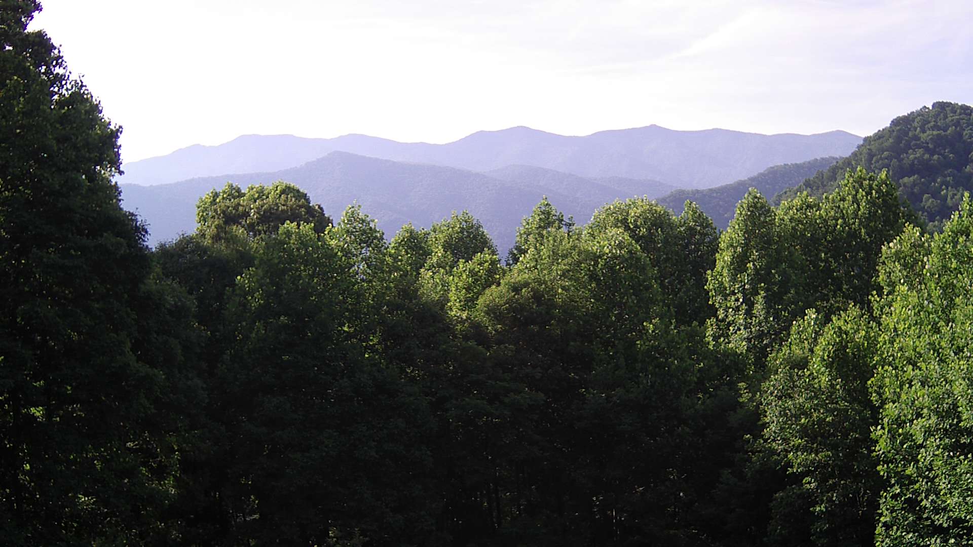 click for next image... slideshow image