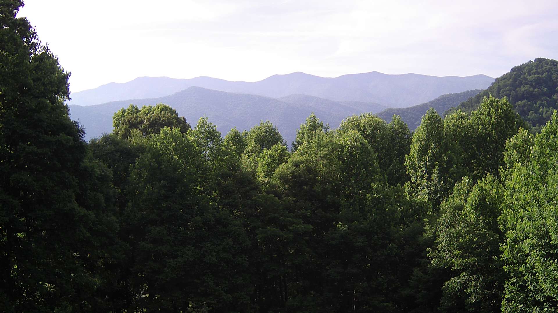 click for next image... slideshow image