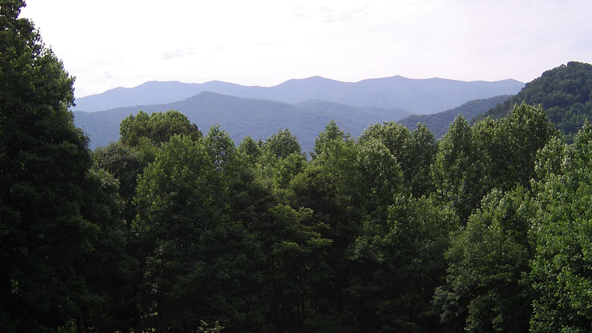 click for next image... slideshow image