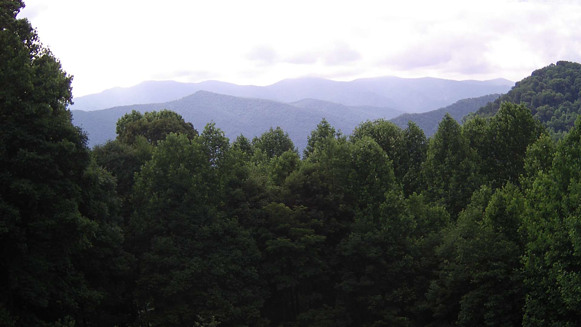 click for next image... slideshow image