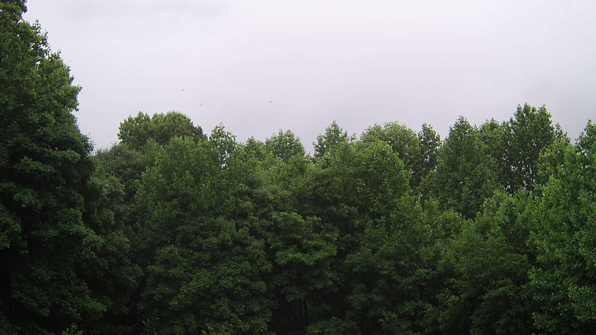 click for next image... slideshow image