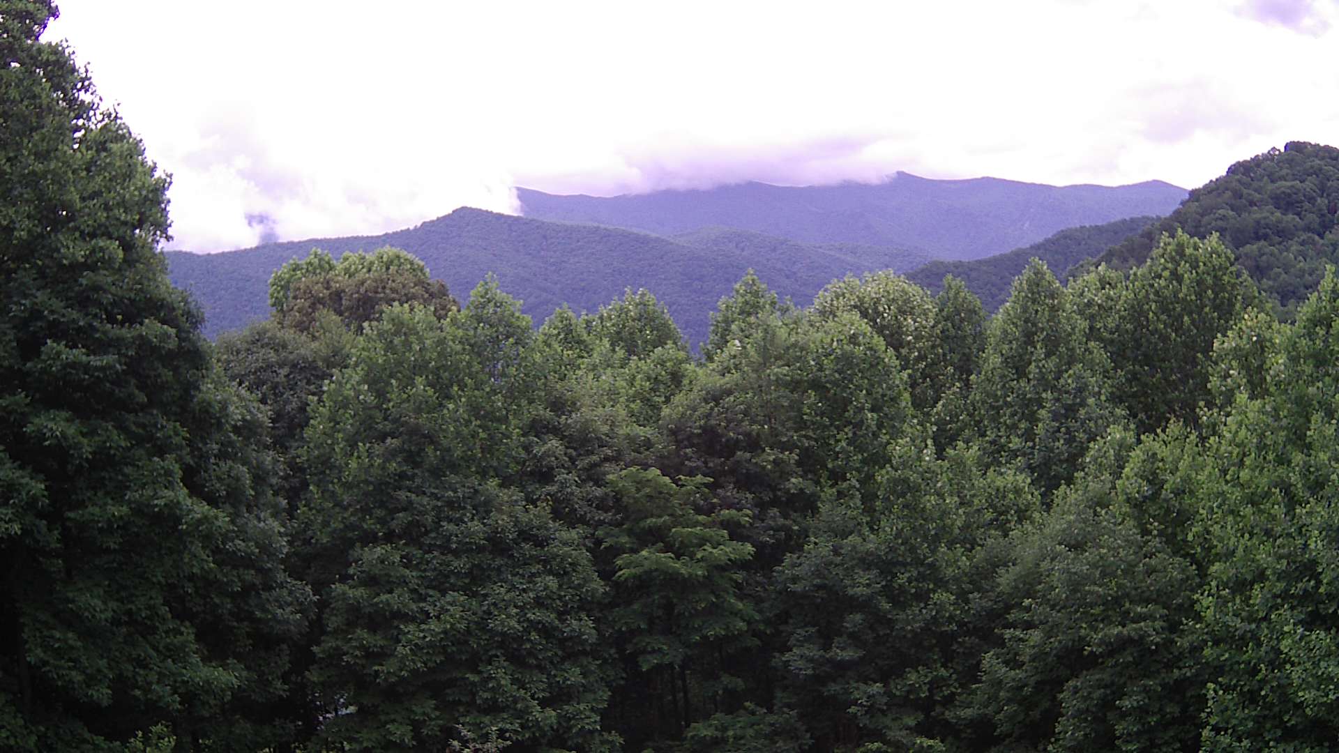 click for next image... slideshow image
